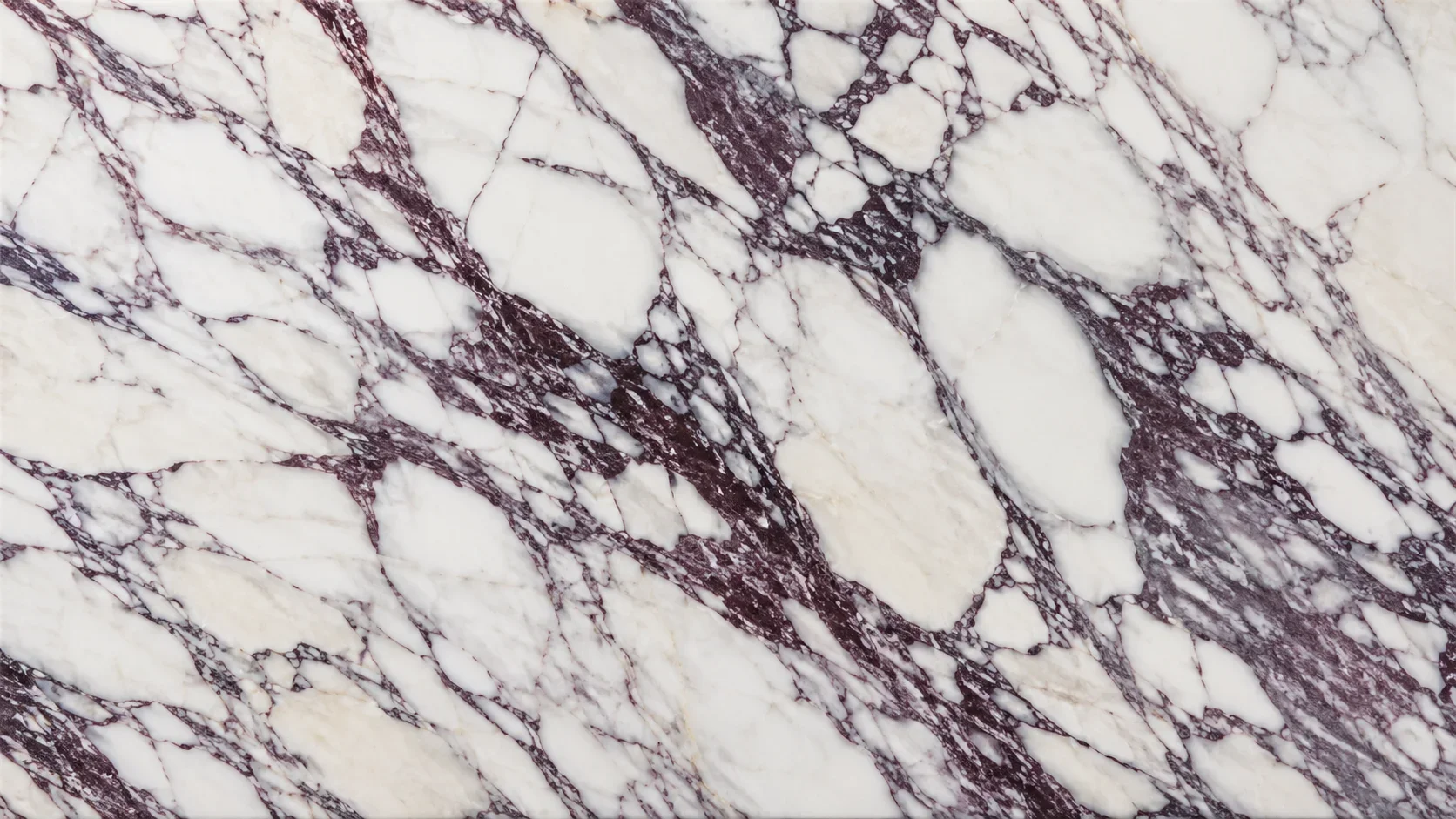 Calacatta Viola marble wholesale material for furniture and decor OEM